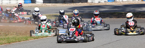 festival state cup karts