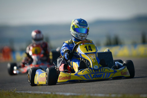 Forè in action on Gold Kart at the recent World Championships in Sweden 