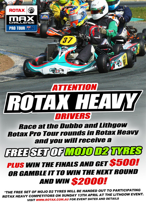 rotax heavy free mojo tyres
